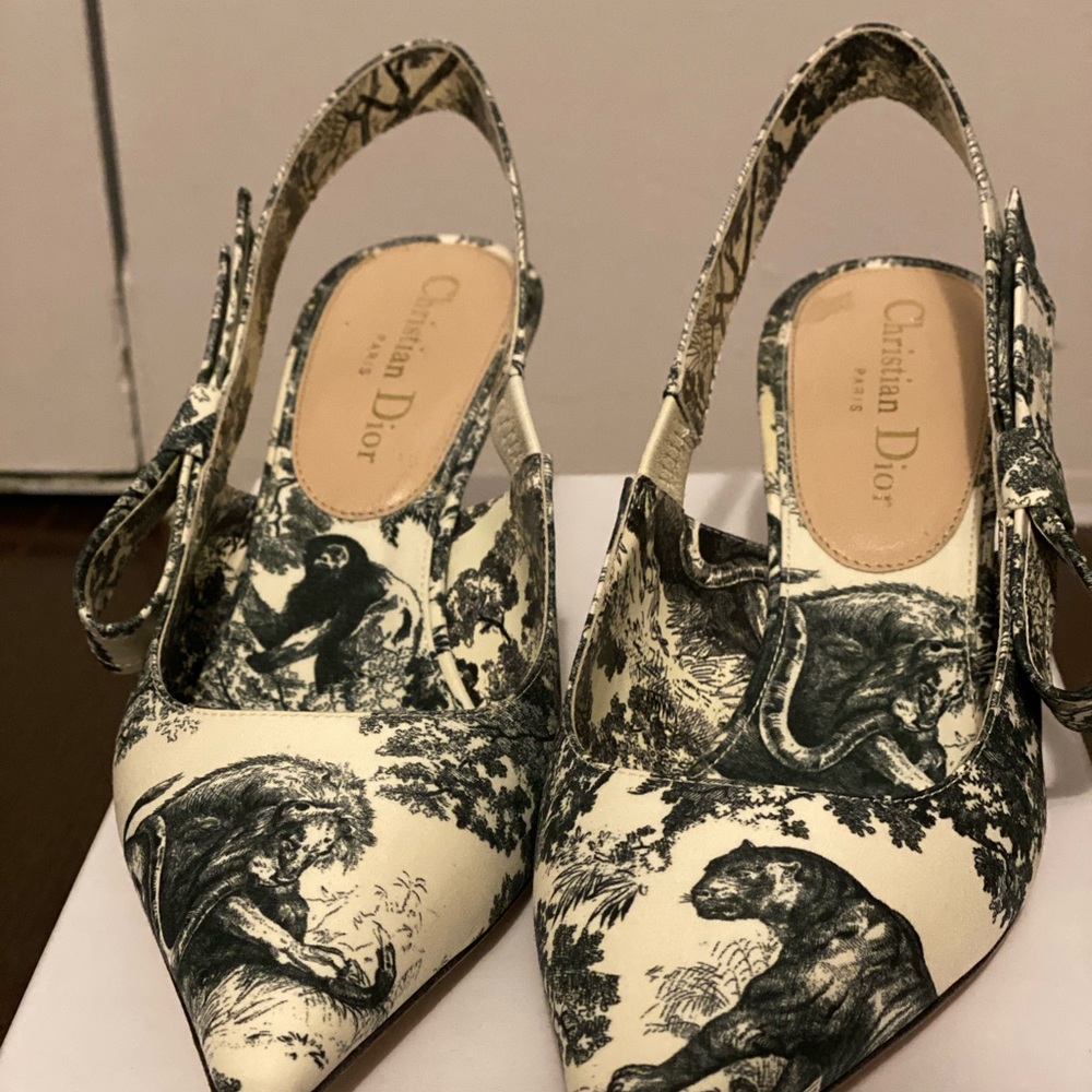 DIOR PUMP TOILE DE JOUY